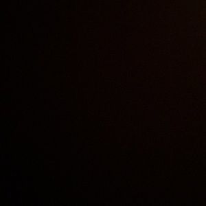 Meet your Posher, Samuel